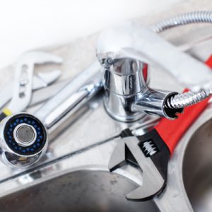 top_dog_plumbing_eagle_page_fixture