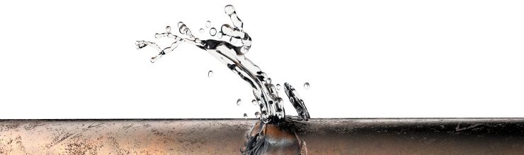Immediate Steps to Take When You Have a Water Leak